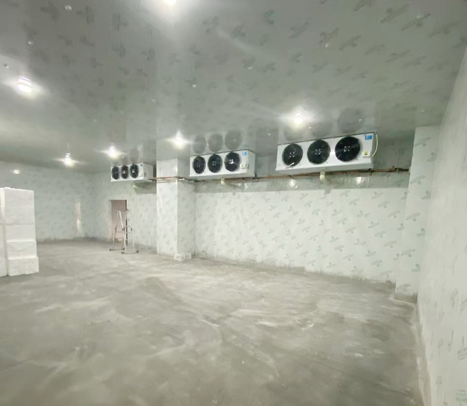 普洱普拉拉食品500立方-25度冰淇淋
